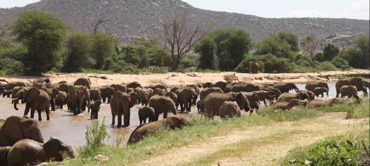 samburu_2__1200x540